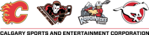 Calgary_Sports_and_Entertainment_Corporation
